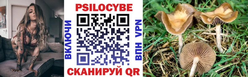 сайты даркнета как зайти  Черепаново  Галлюциногенные грибы Psilocybe  OMG ONION 